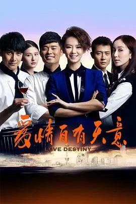 爱情自有天意2013[电影解说]