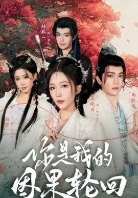 你是我的因果轮回