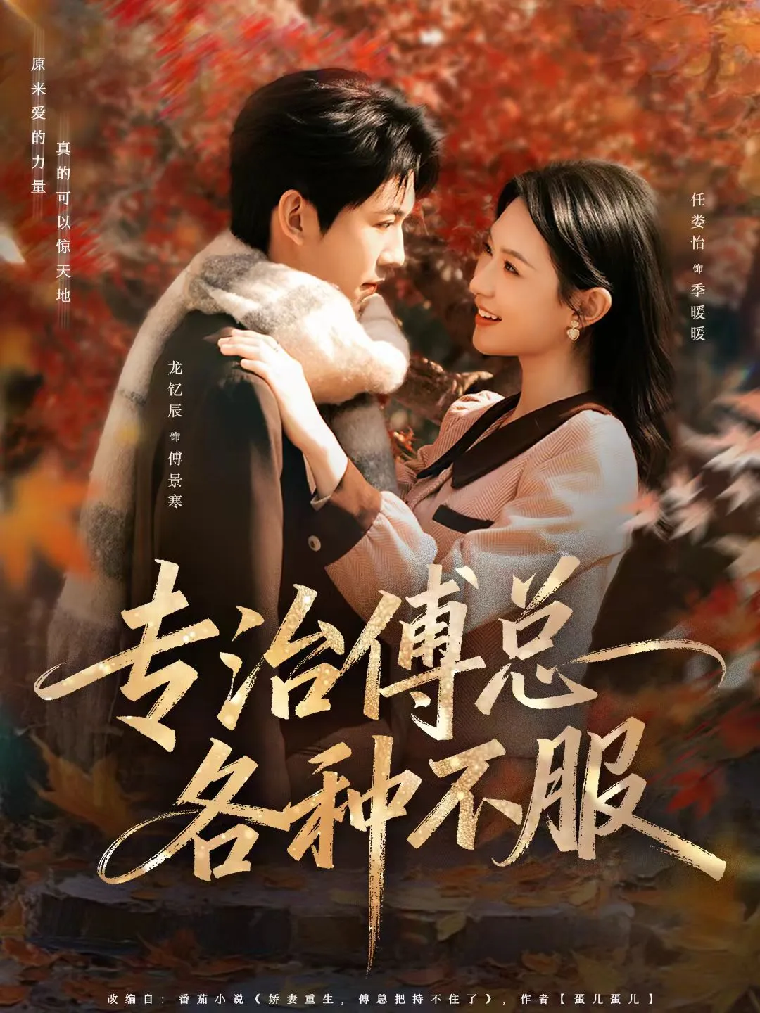 专治傅总各种不服